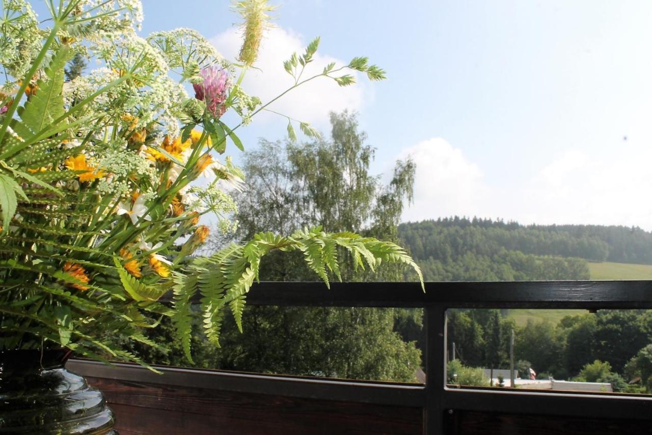 Hotel Carolaruh Bad Elster Kültér fotó